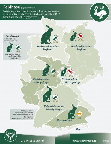 Feldhasenzählung: Frühjahrspopulationsdichten und Nettozuwachsraten 2017 Feldhasenzählung: Frühjahrspopulationsdichten und Nettozuwachsraten 2017