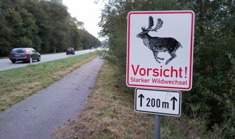 Wildunfälle Duftzäune Reflektoren