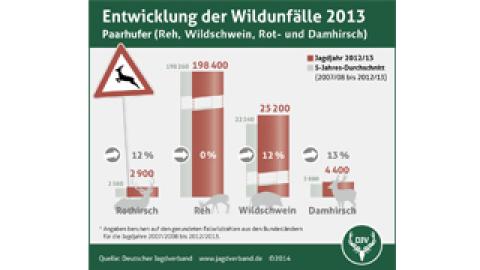 Wildunfallstatistik 2013
