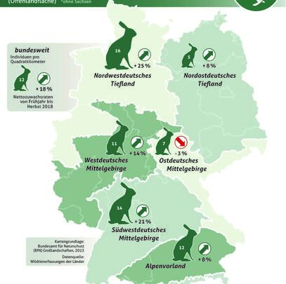 Ergebnisse der Feldhasenzählung im Frühjahr 2018. (Quelle: DJV)